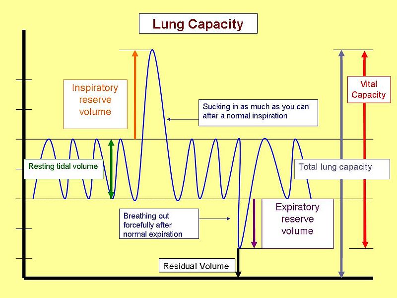 肺活量（VC）和用力肺活量（FVC）的区别